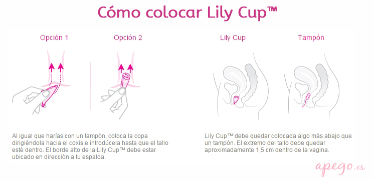Cómo colocar la copa menstrual Lily Cup de Intimina